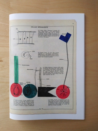 BIOLOGIA GRAFICA couv