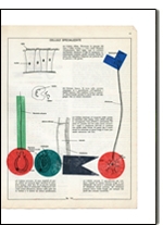 BIOLOGIA GRAFICA couv miniature